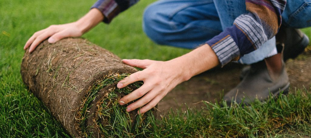 A close up shot of a landscaper operative laying some new turf.