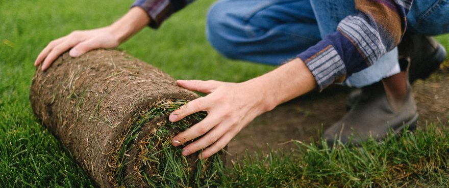 A close up shot of a landscaper operative laying some new turf.